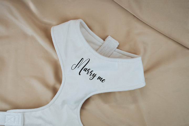 WEDDING VELVET CHEST HARNESS