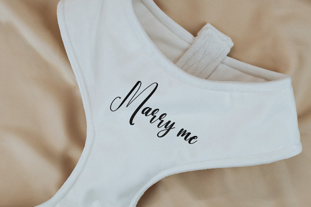 WEDDING VELVET CHEST HARNESS
