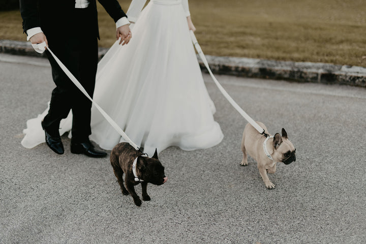 WEDDING VELVET LEASH