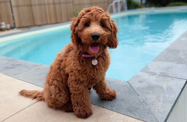CHLOÉ WATERPROOF SET