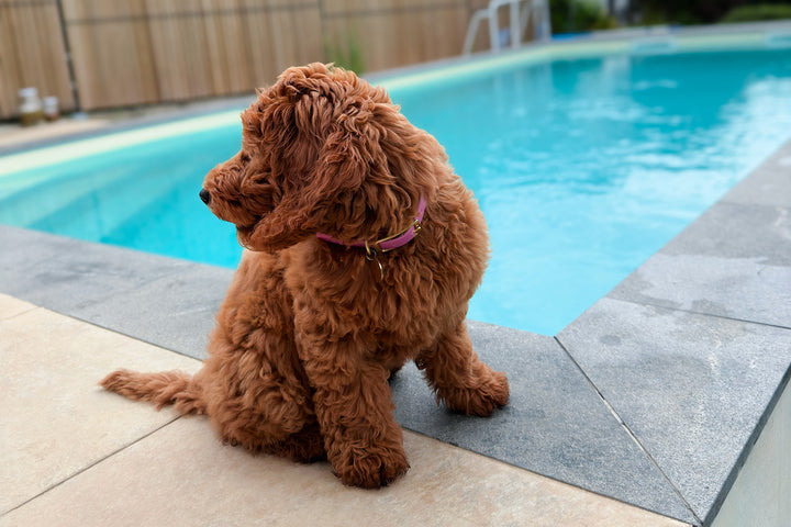 CHLOÉ WATERPROOF SET