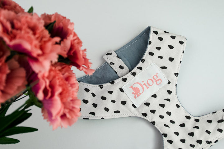 DALMATIAN CHEST HARNESS