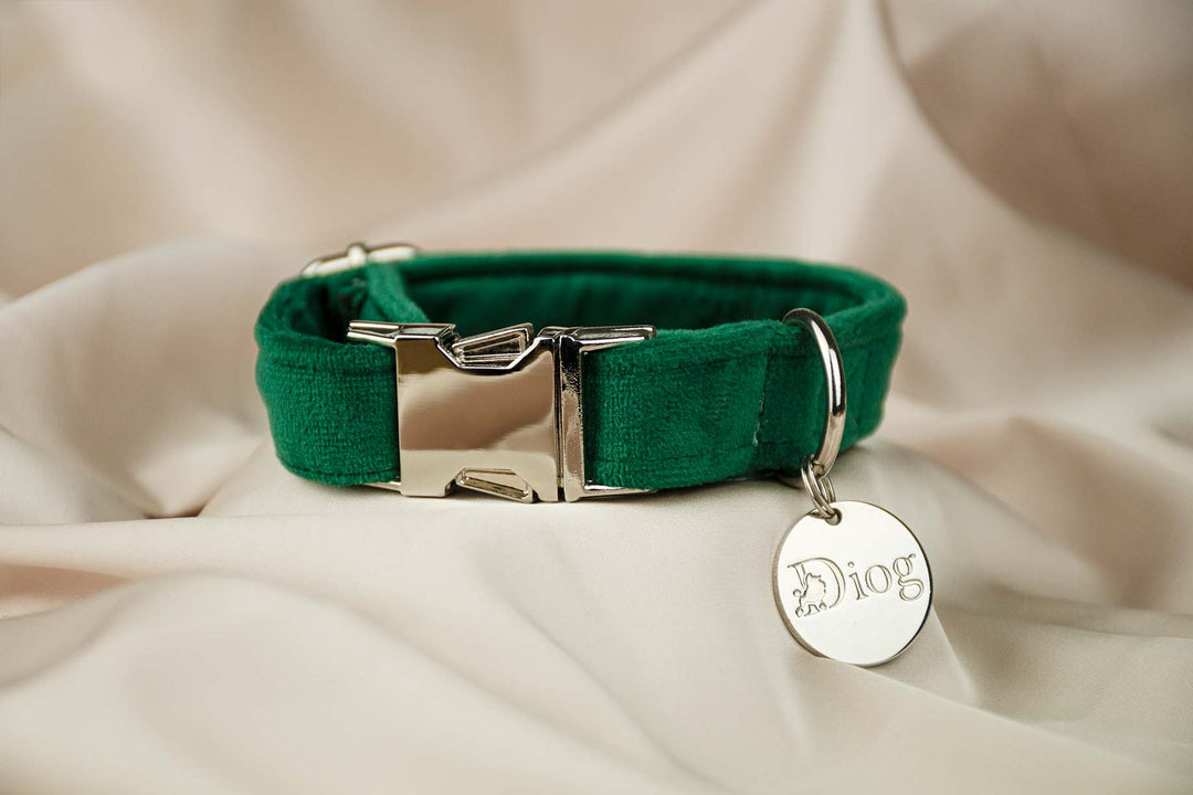 Velvet dark green collar with sleek silver hardware.