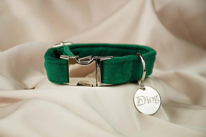 Velvet dark green collar with sleek silver hardware.