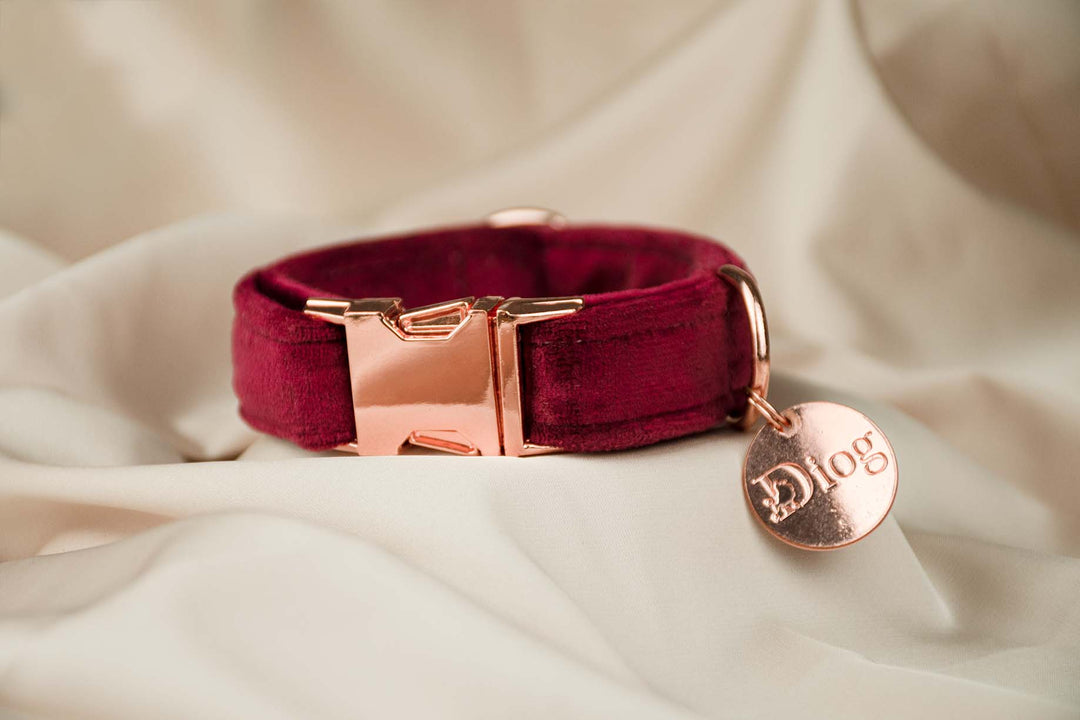 Velvet red collar with sleek rose-gold hardware.