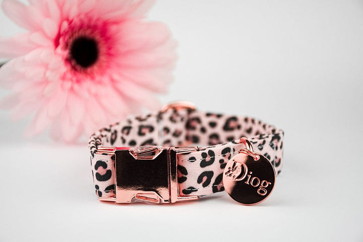 CHEETA COLLAR