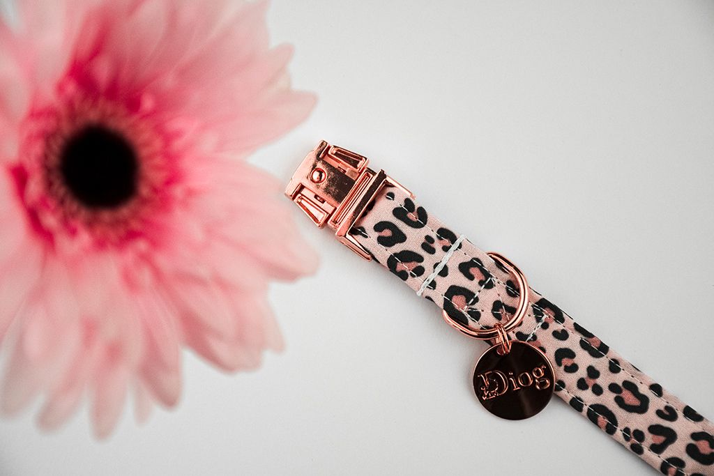 CHEETA COLLAR