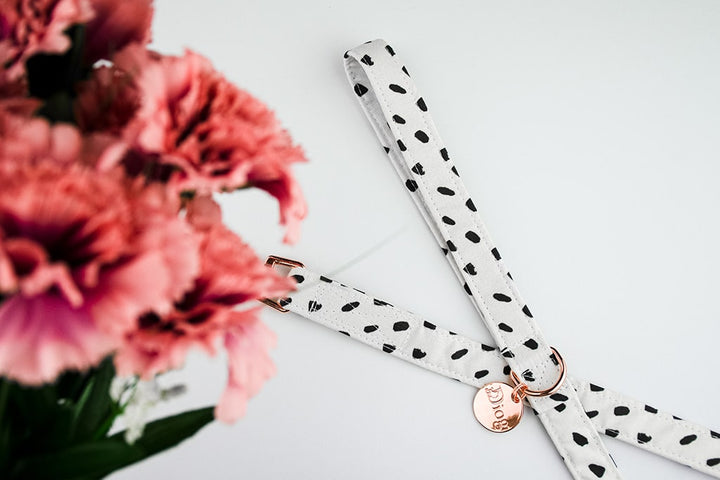 DALMATIAN LEASH