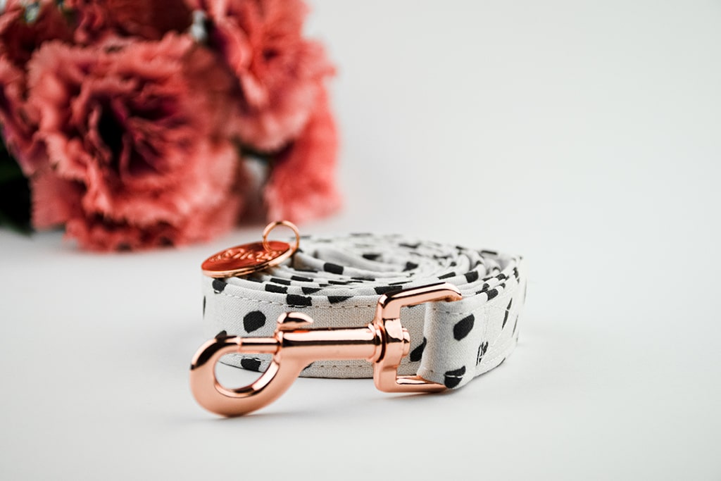 DALMATIAN LEASH
