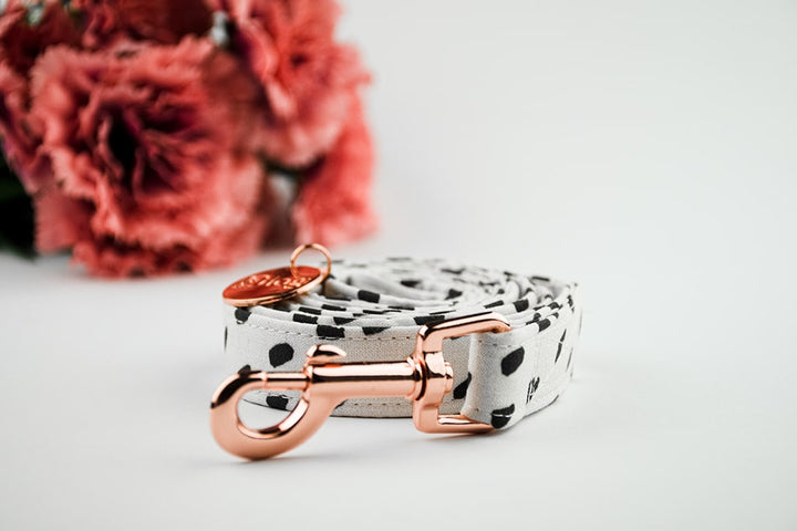 DALMATIAN LEASH