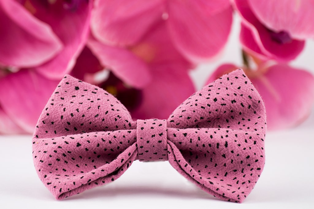 Pink dog bow sale tie