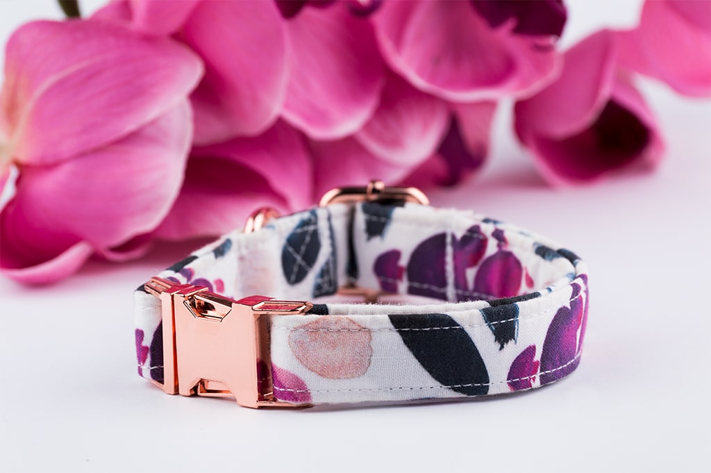 PLAYFUL GARDEN COLLAR – Diog - Main Image