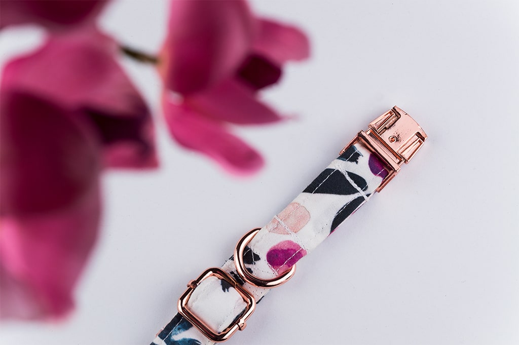 PLAYFUL GARDEN COLLAR