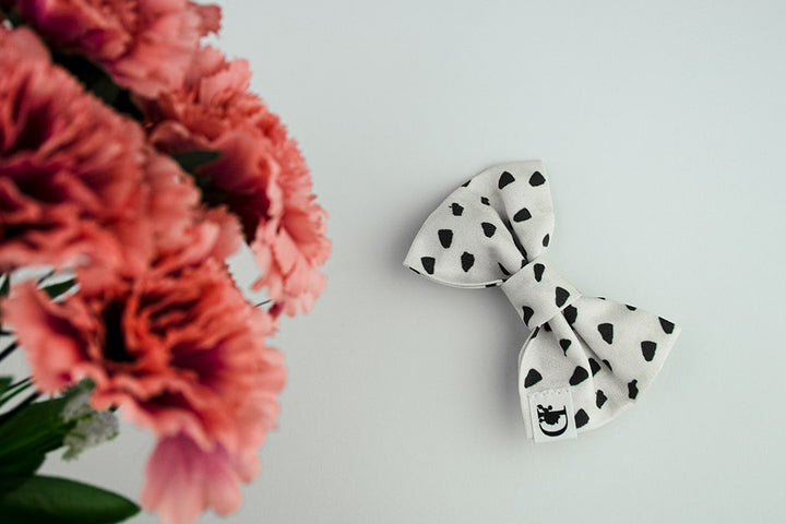 DALMATIAN BOW TIE