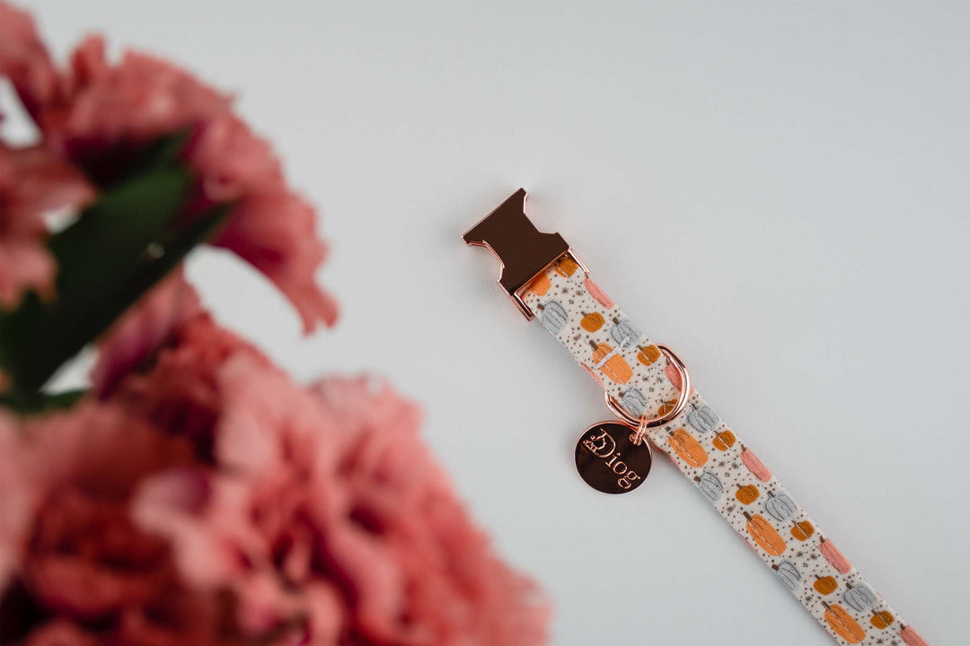 LIL PUMPKIN COLLAR
