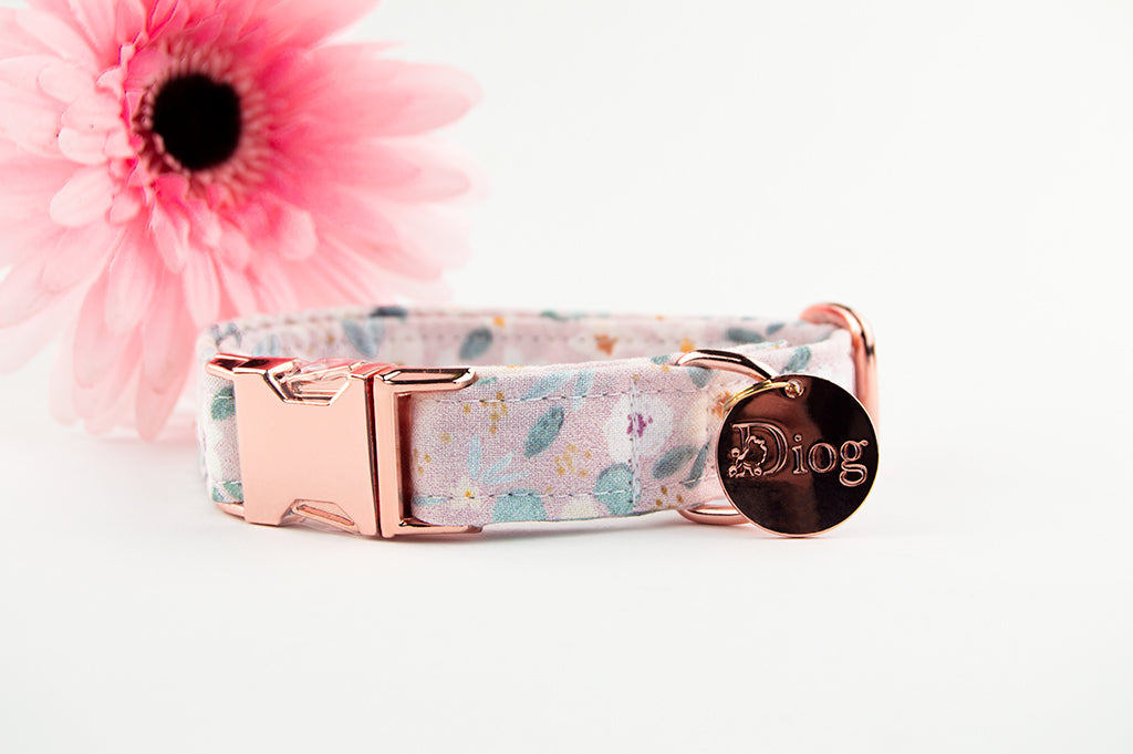 DAISY COLLAR