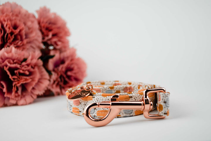 LIL PUMPKIN LEASH