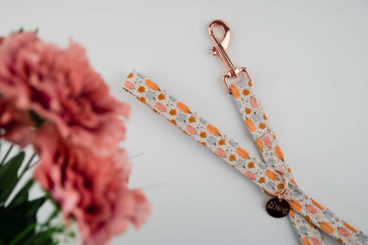 LIL PUMPKIN LEASH