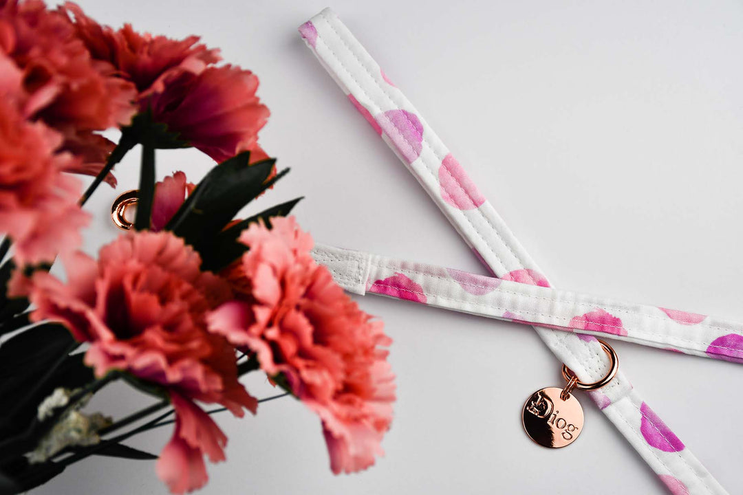 PINK POLKA LEASH