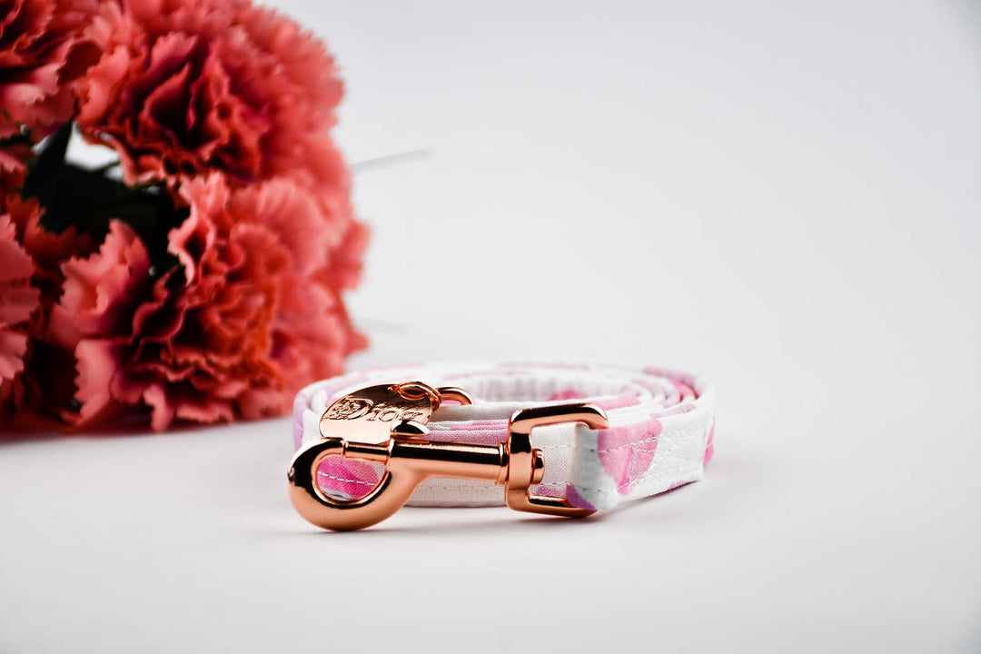 PINK POLKA LEASH