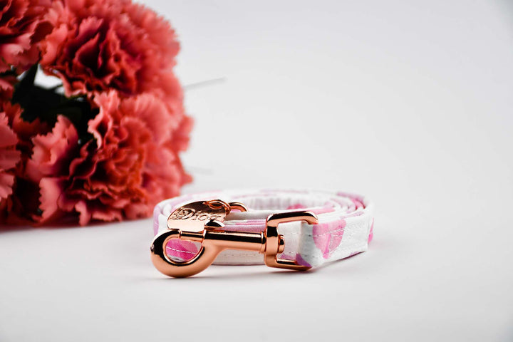 PINK POLKA LEASH