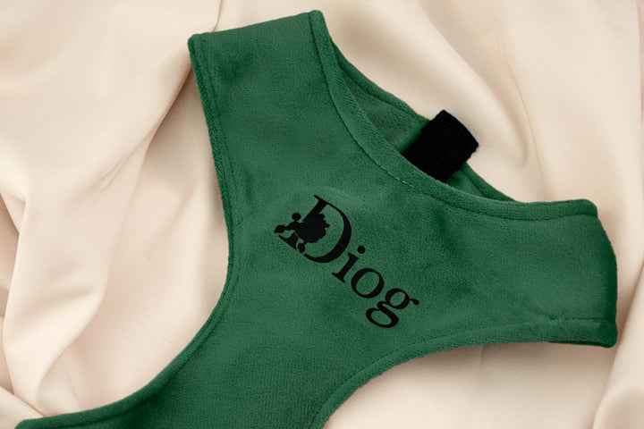 GREEN VELVET CHEST HARNESS