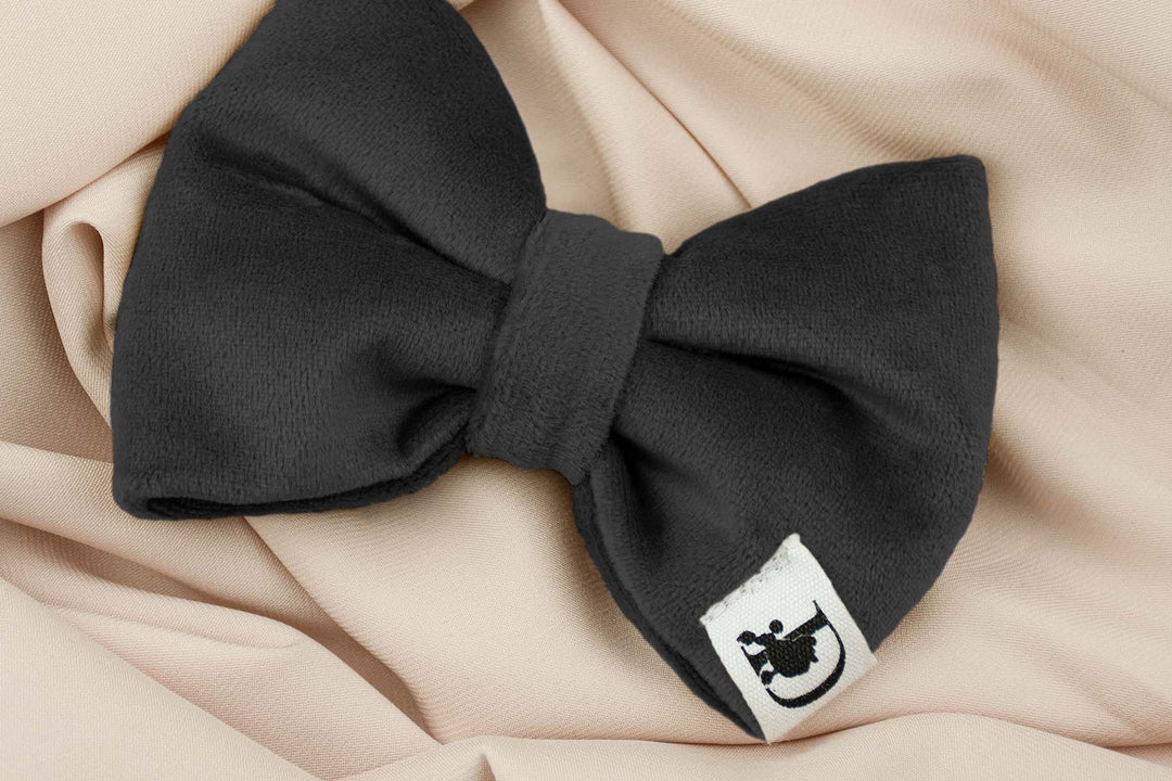 BLACK VELVET BOW TIE