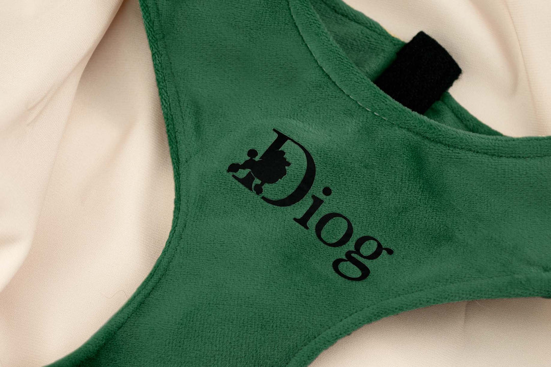 GREEN VELVET CHEST HARNESS