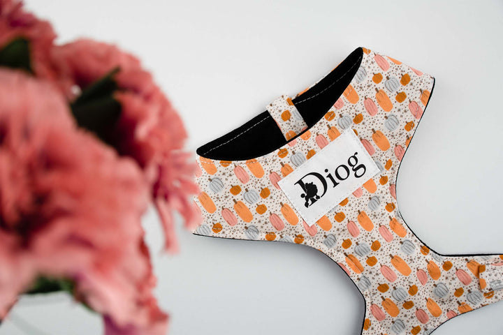 LIL PUMPKIN CHEST HARNESS
