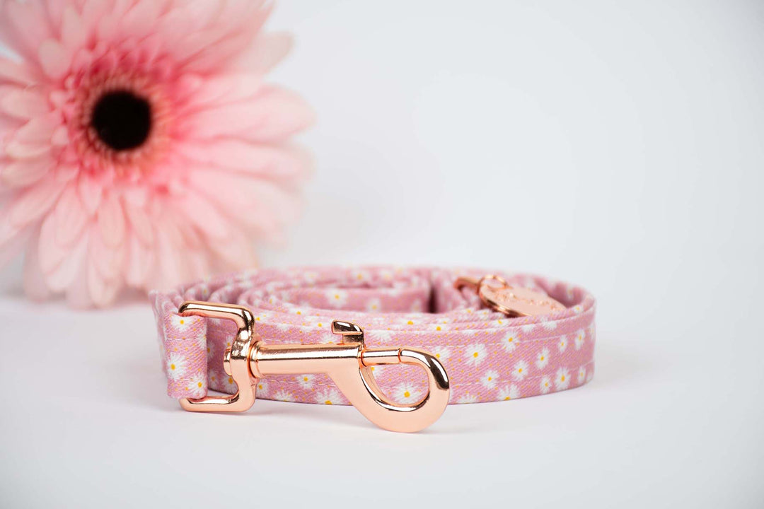 BECKY LEASH