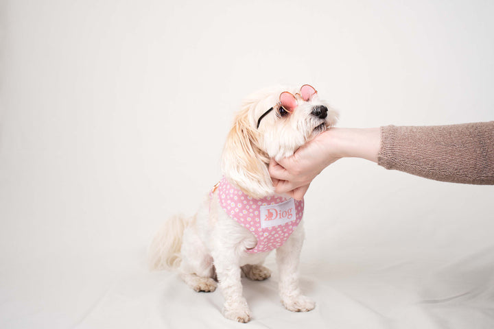 BECKY CHEST HARNESS