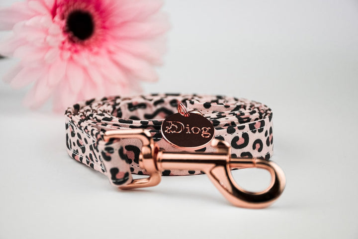 CHEETA POVODEC