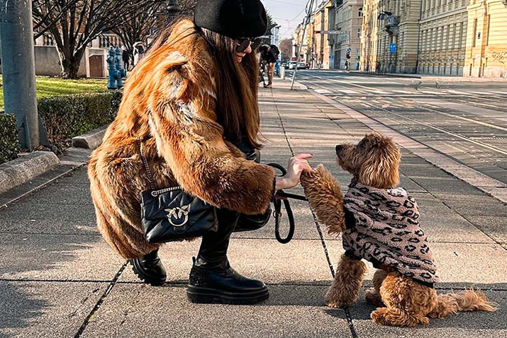 Labradoodle dog looking adorable in a panther pattern Teddy Sherpa Hoodie, perfect for warmth and style.