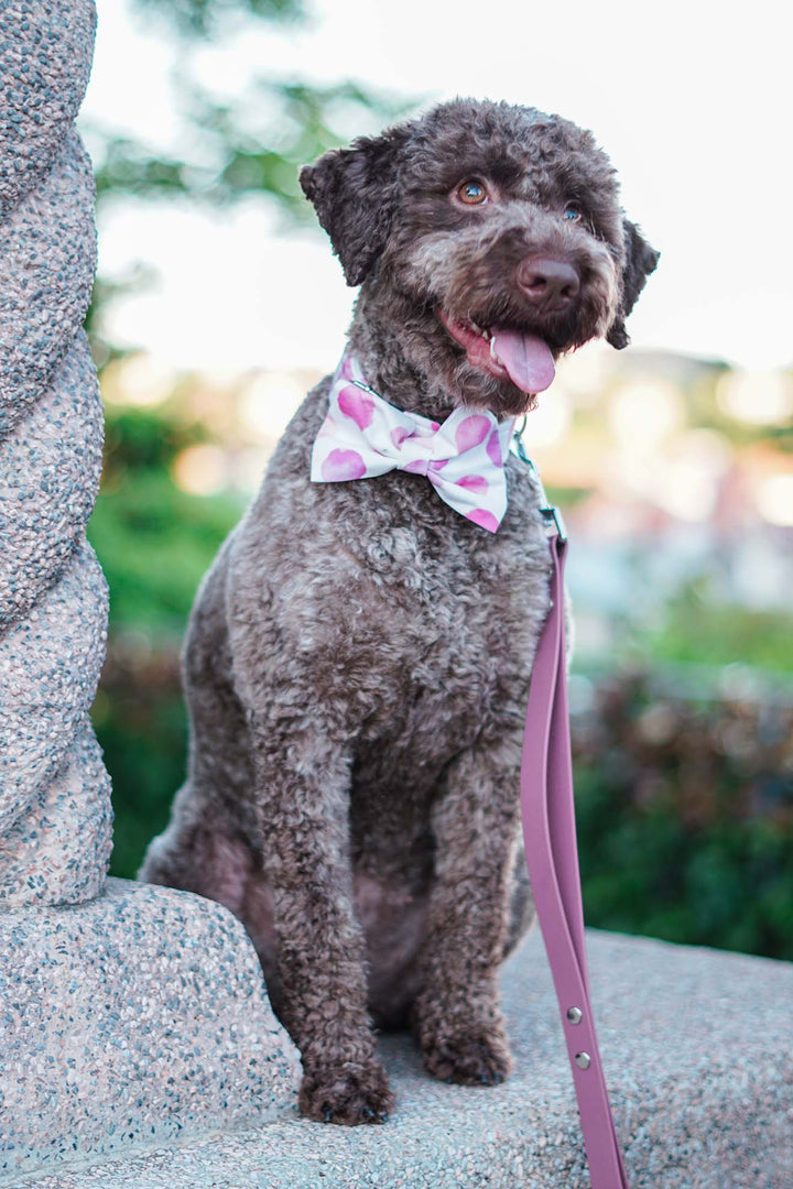 PINK POLKA BOW TIE