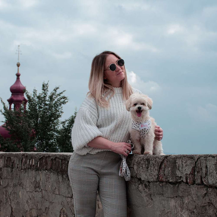 DALMATIAN CHEST HARNESS