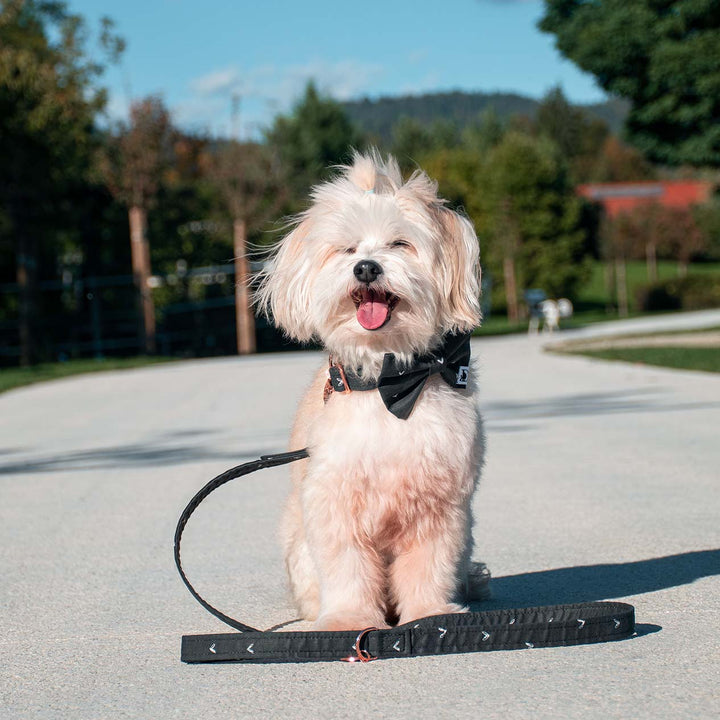 BLACK HEART LEASH