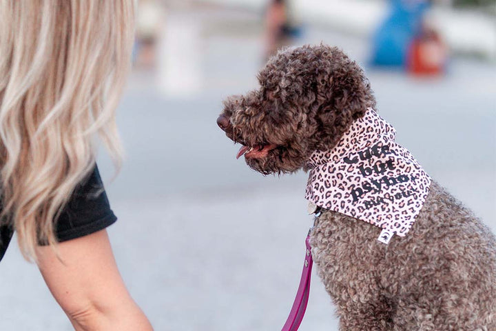 CHEETA BANDANA