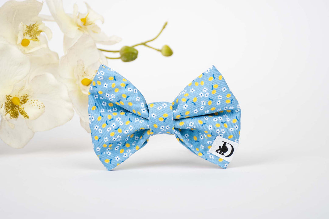 CAPRI LEMON BOW TIE