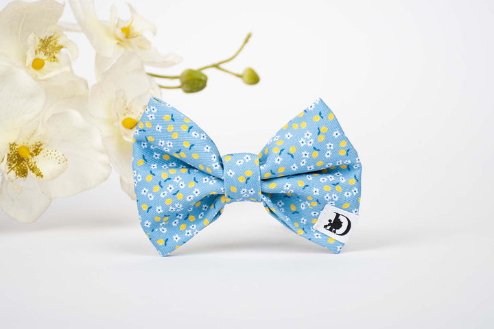 CAPRI LEMON BOW TIE