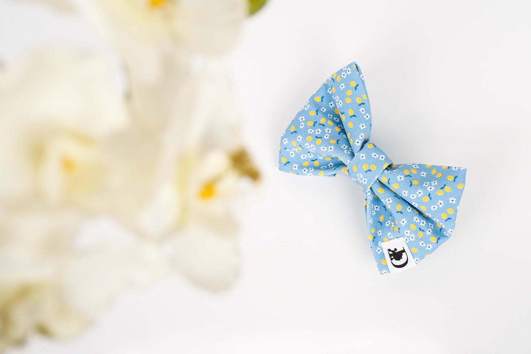 CAPRI LEMON BOW TIE