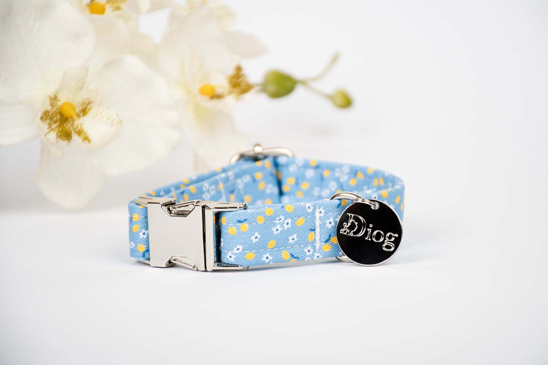 CAPRI LEMON COLLAR