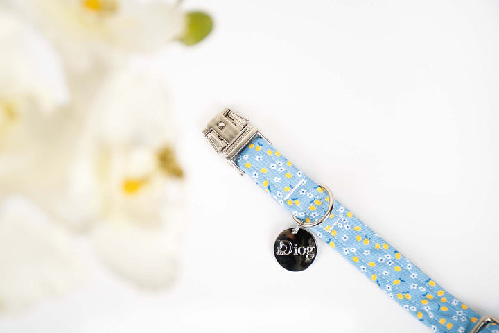 CAPRI LEMON COLLAR