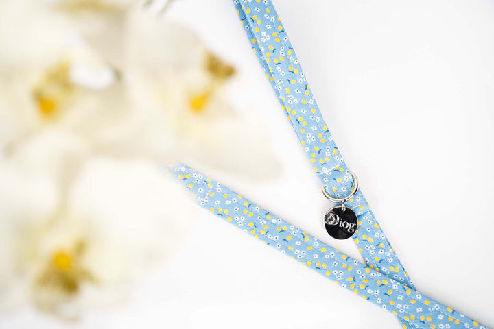 CAPRI LEMON LEASH
