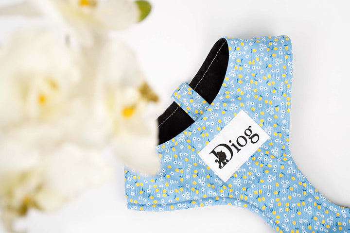 CAPRI LEMON CHEST HARNESS