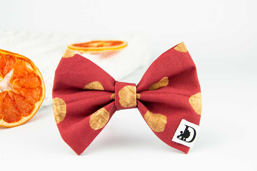 Diog dog bow tie for all occasions