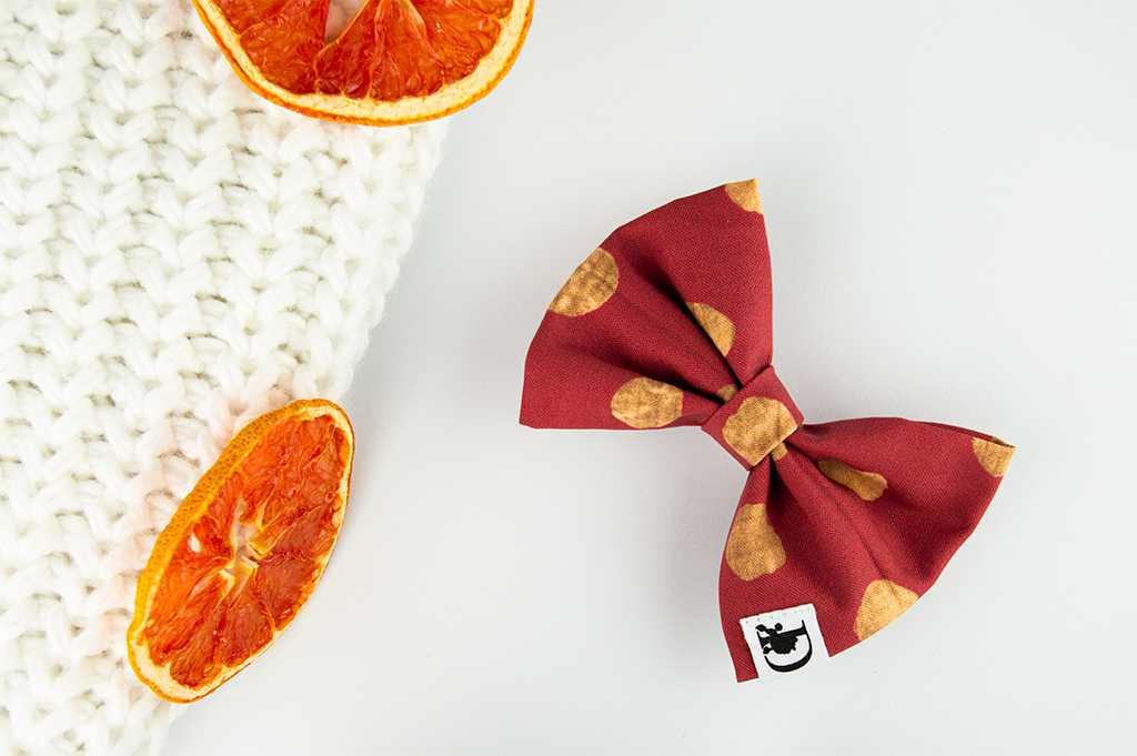 Diog dog bow tie for all occasions