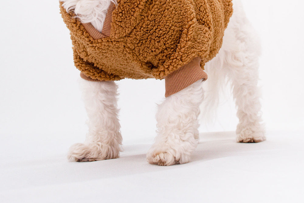 Brown Teddy Sherpa Hoodie for dogs, providing warmth and style.