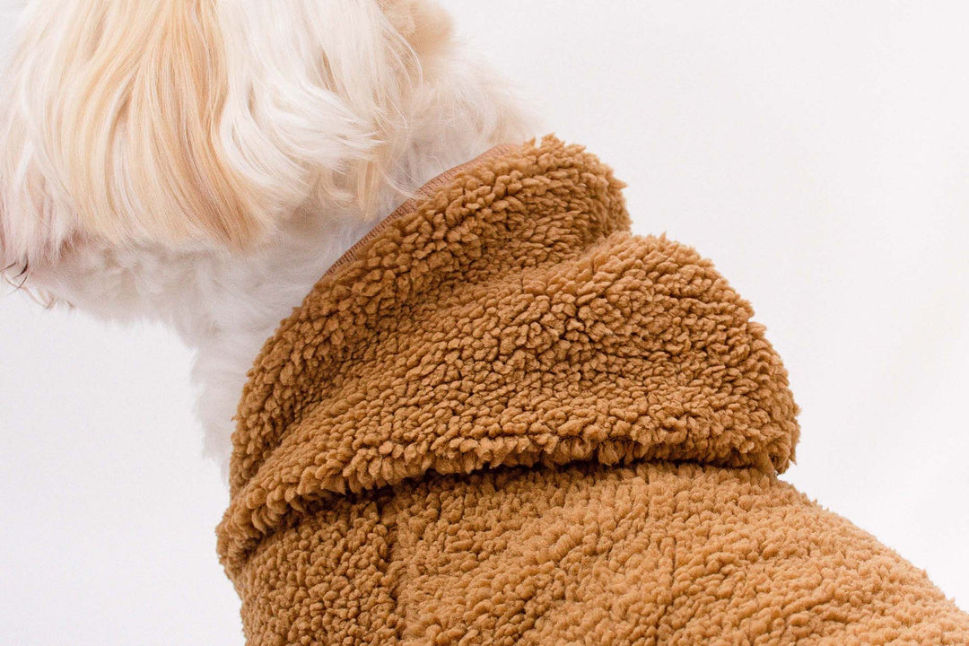 Brown Teddy Sherpa Hoodie for dogs, providing warmth and style.