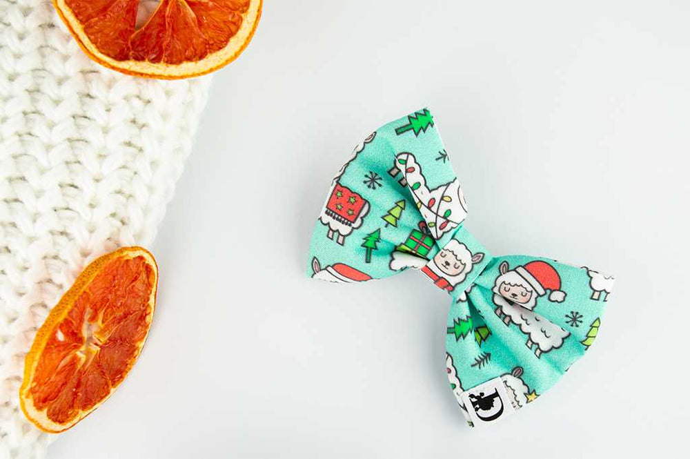 Diog dog bow tie for all occasions