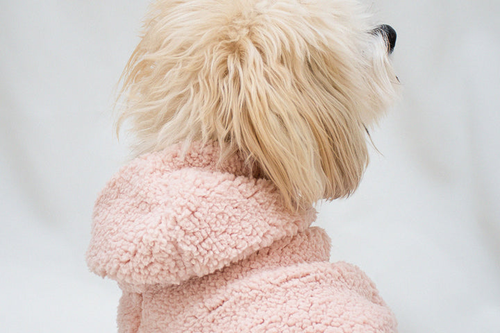 Pink Teddy Sherpa Hoodie for dogs, providing warmth and style.